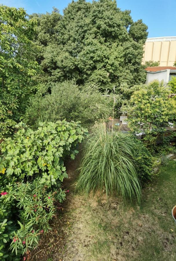 PUY Pine And Lime Apartments מראה חיצוני תמונה
