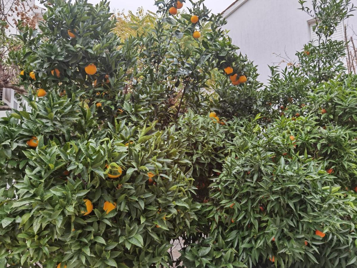 PUY Pine And Lime Apartments מראה חיצוני תמונה