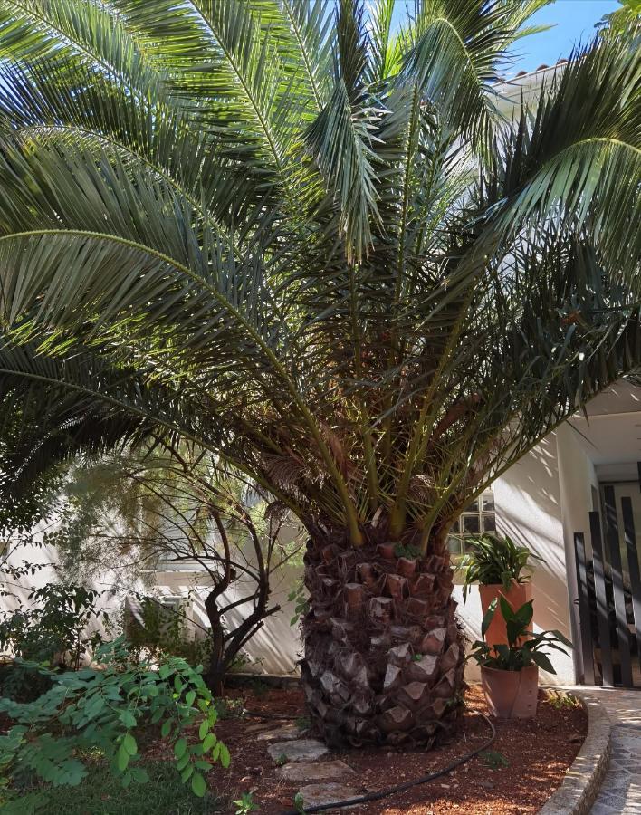 PUY Pine And Lime Apartments מראה חיצוני תמונה