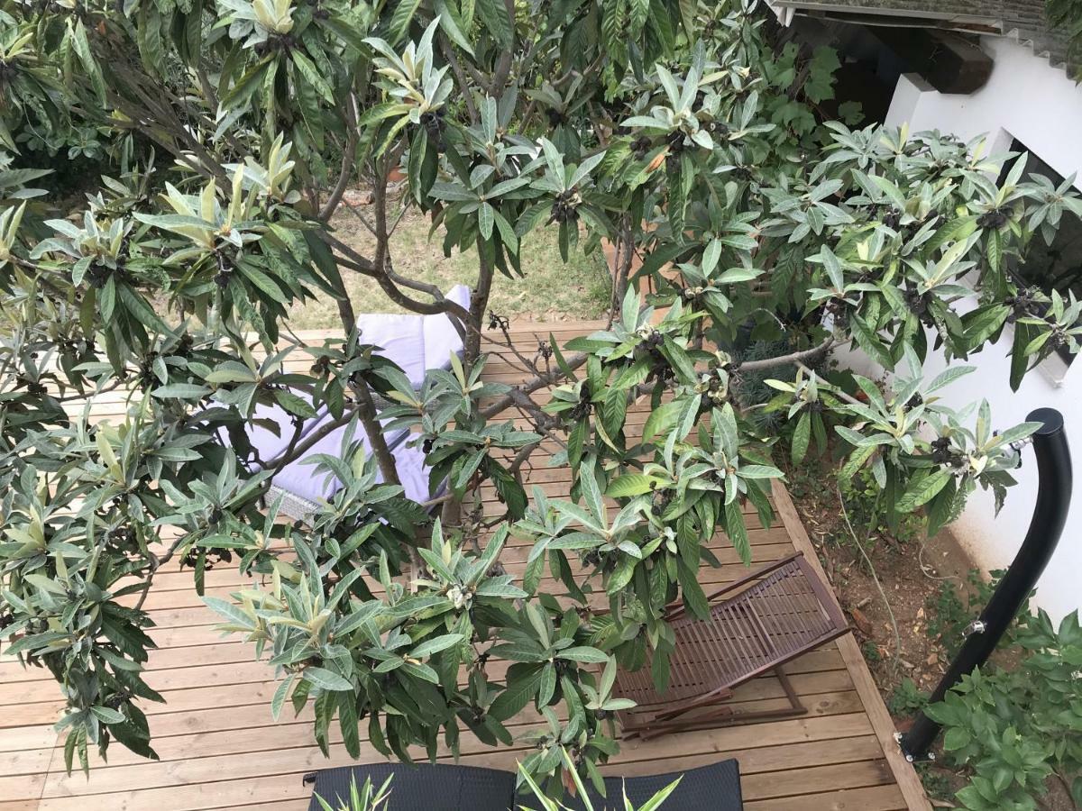 PUY Pine And Lime Apartments מראה חיצוני תמונה
